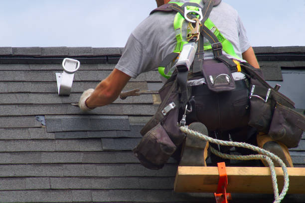Best Roof Maintenance Services  in Ferguson, MO