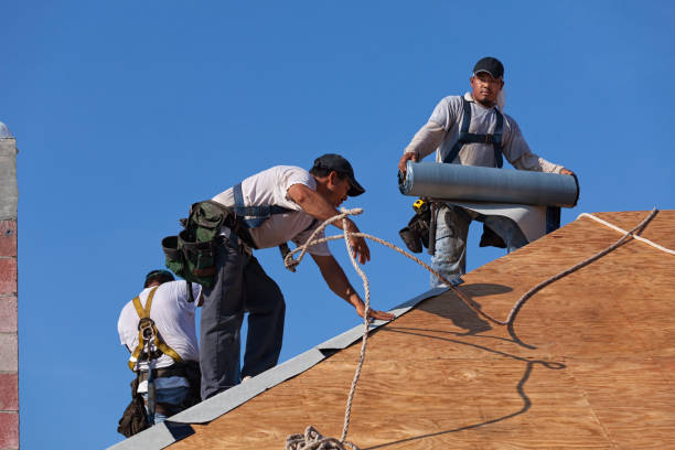 Best Roof Restoration Services  in Ferguson, MO